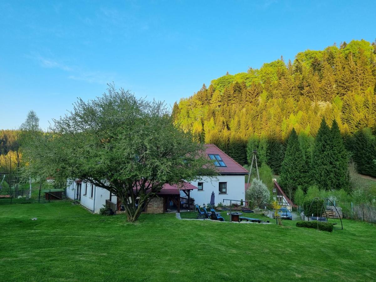Bed and Breakfast Dom Supelek Душники-Здруй Екстер'єр фото