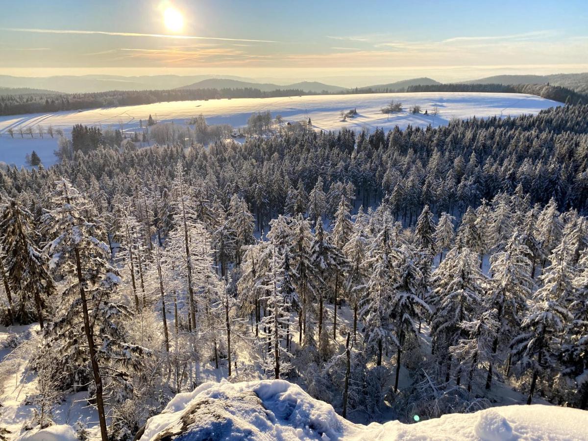 Bed and Breakfast Dom Supelek Душники-Здруй Екстер'єр фото