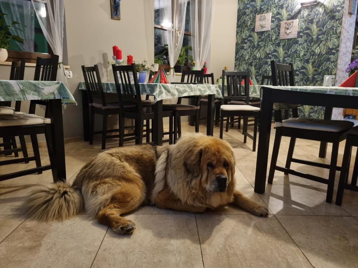 Bed and Breakfast Dom Supelek Душники-Здруй Екстер'єр фото